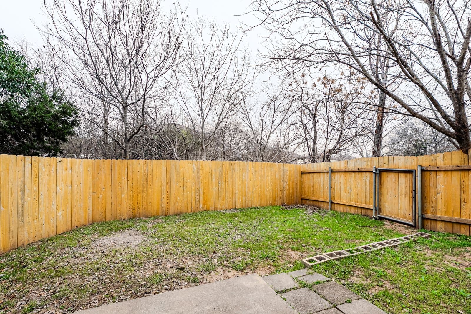 Backyard, fence view